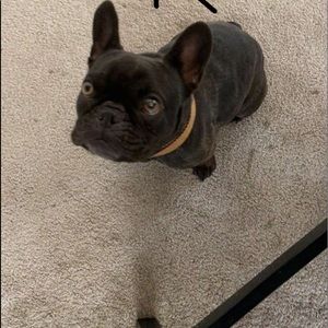 Meet your Posher, Holley